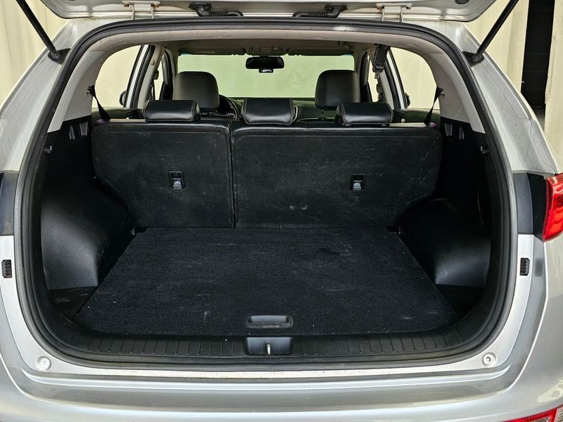 Image 19