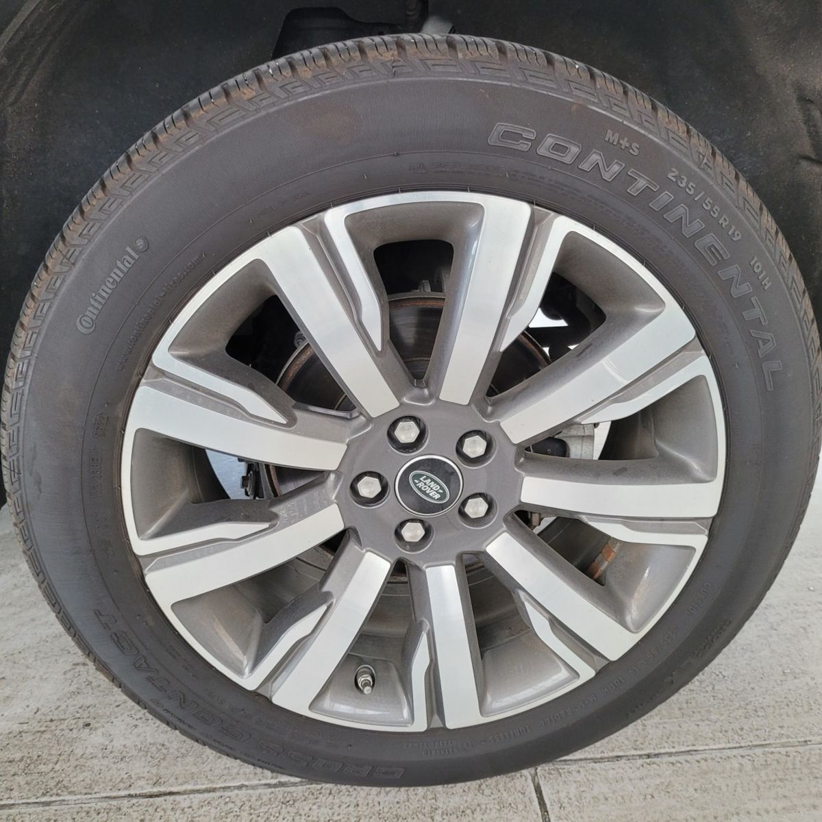 Image 7