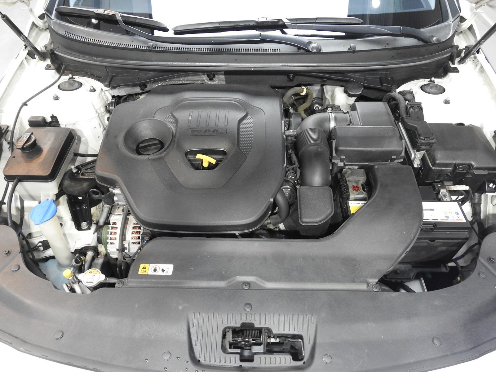 Image 5