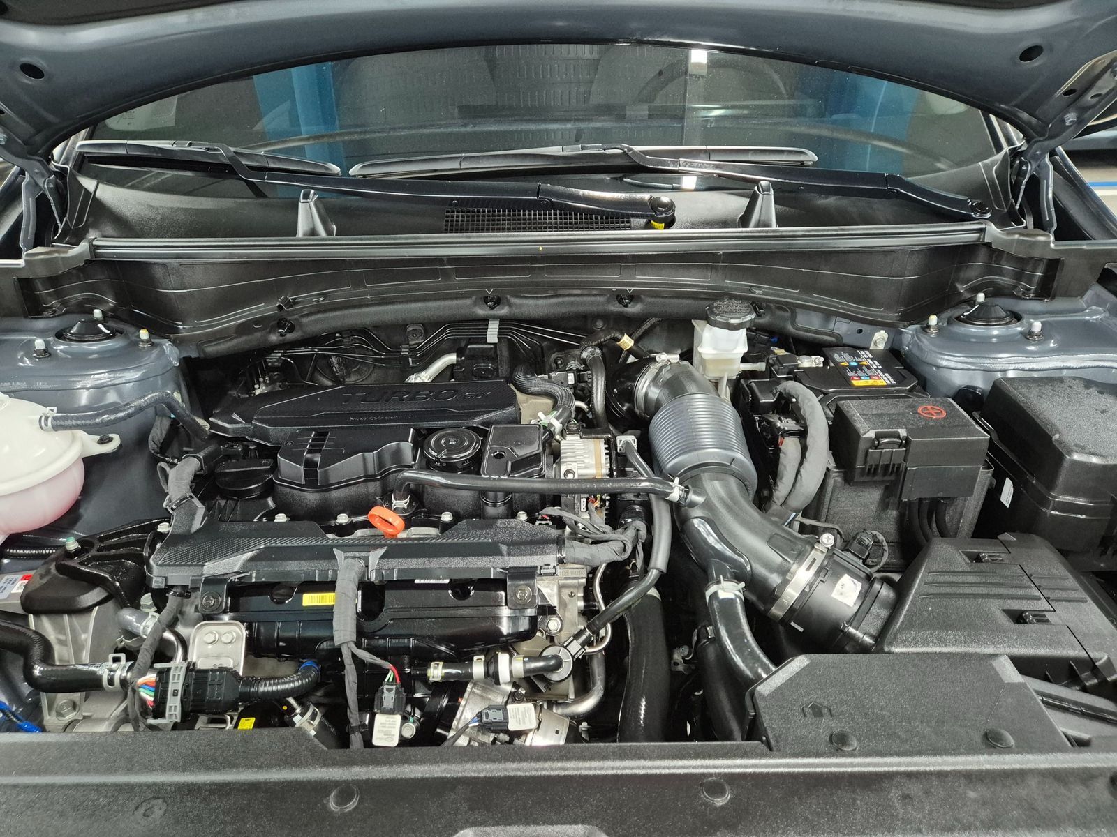Image 8