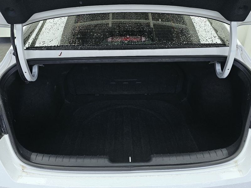 Image 19