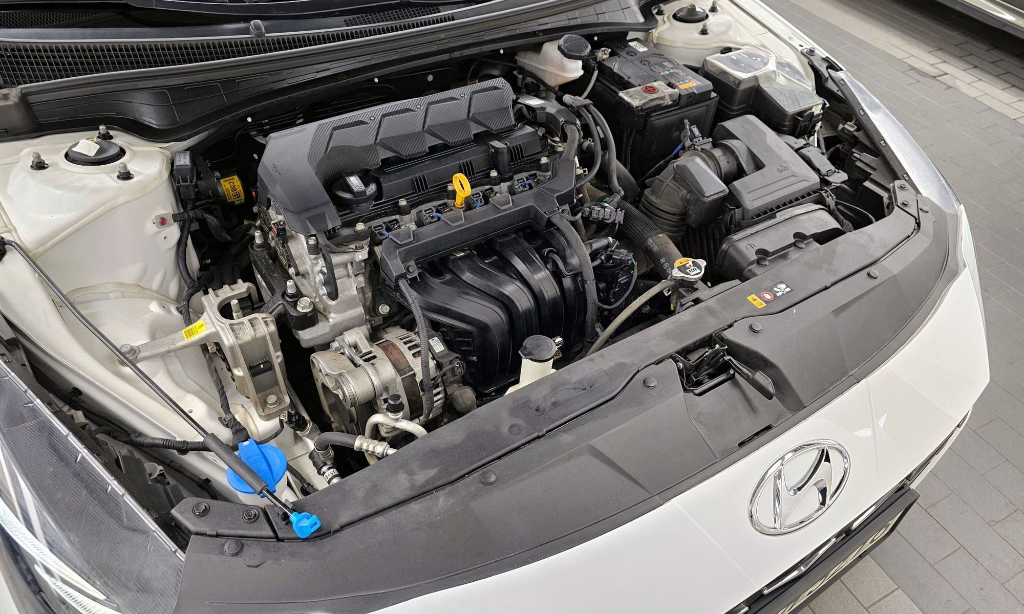 Image 5