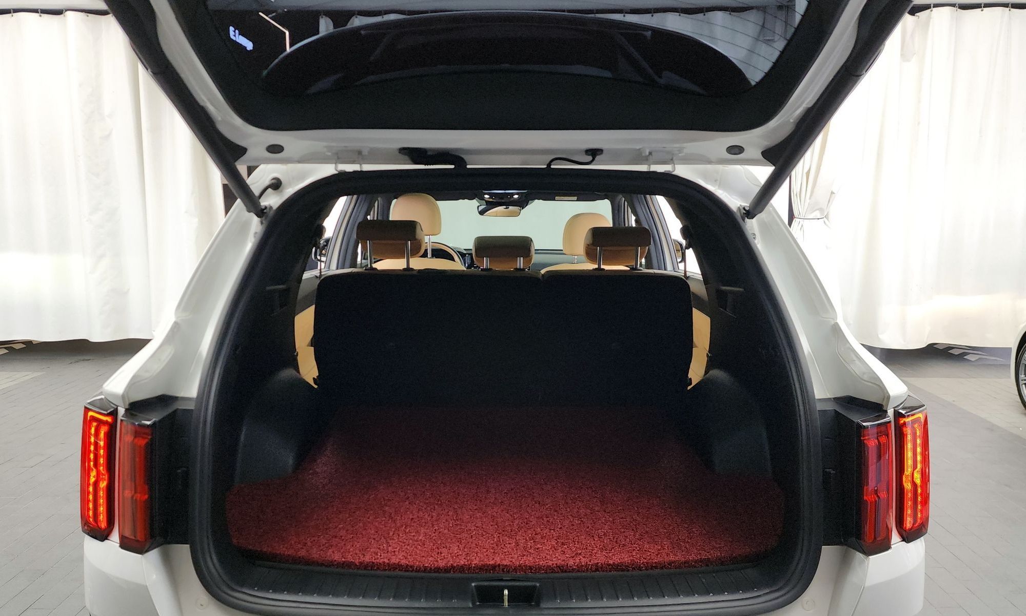Image 19