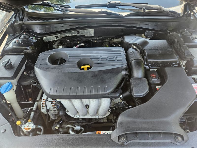 Image 5