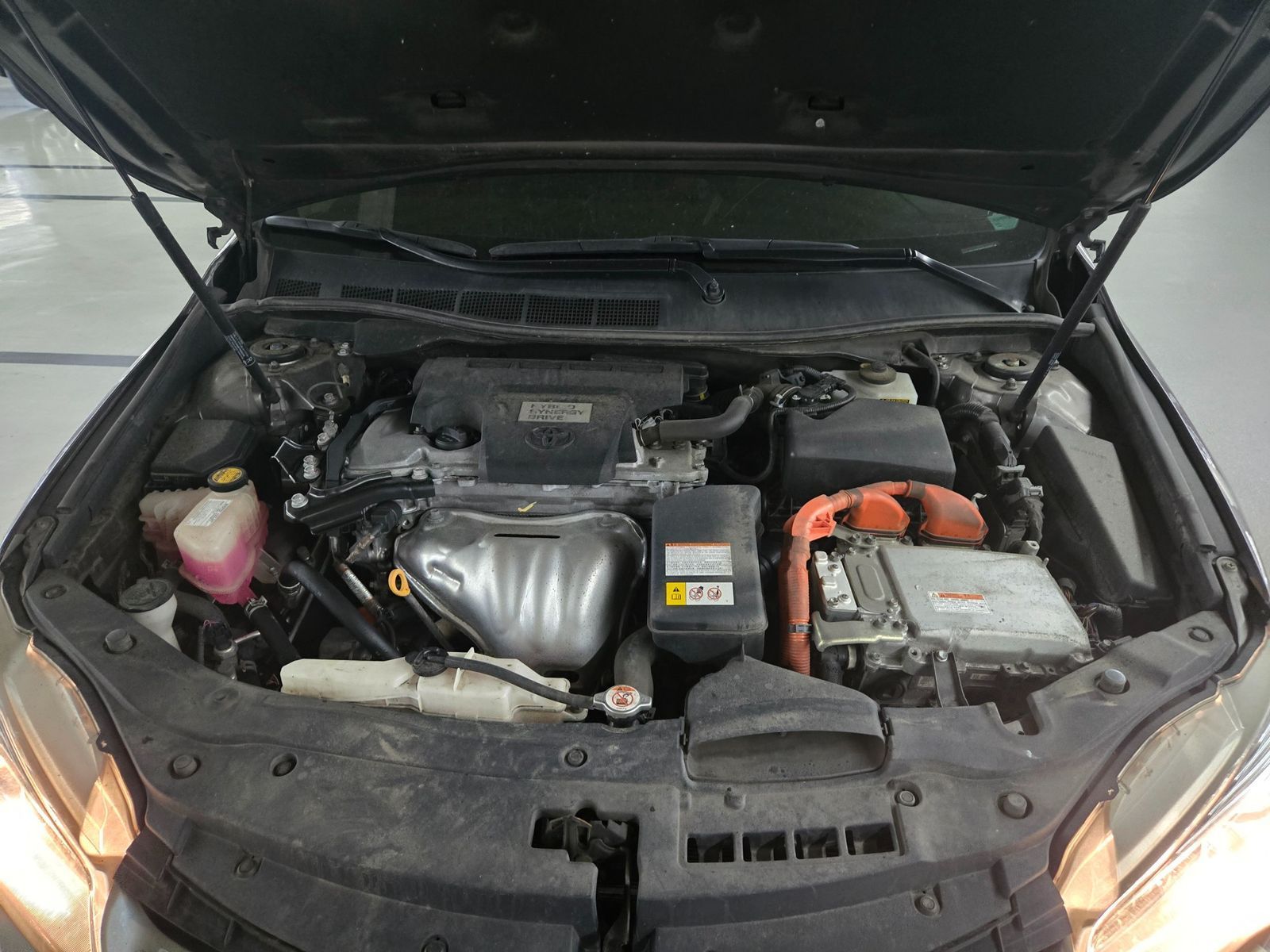 Image 5