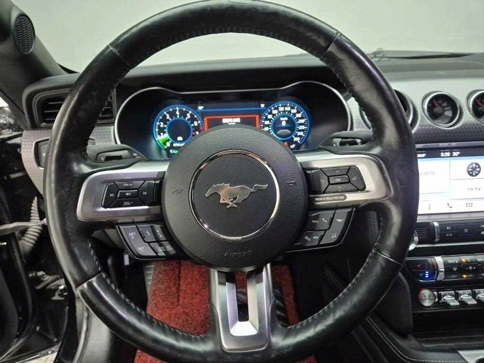 Image 8