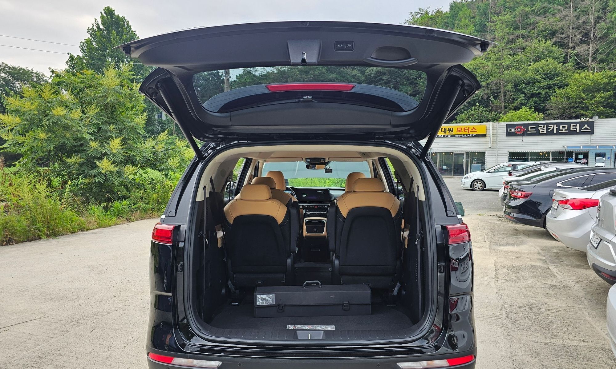 Image 19