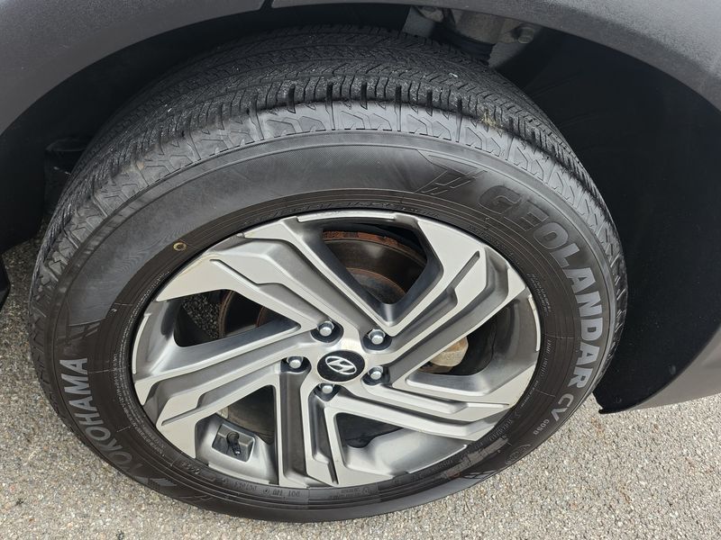 Image 8