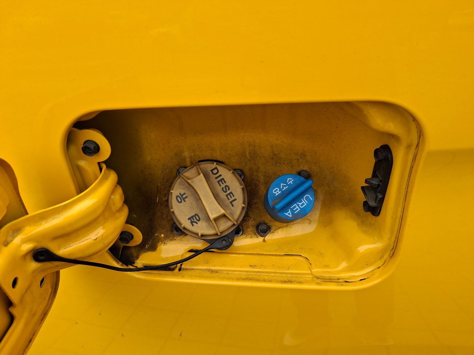 Image 15