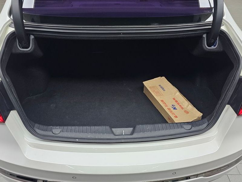 Image 19