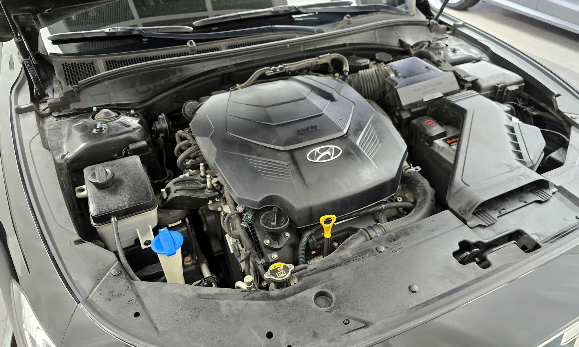 Image 5