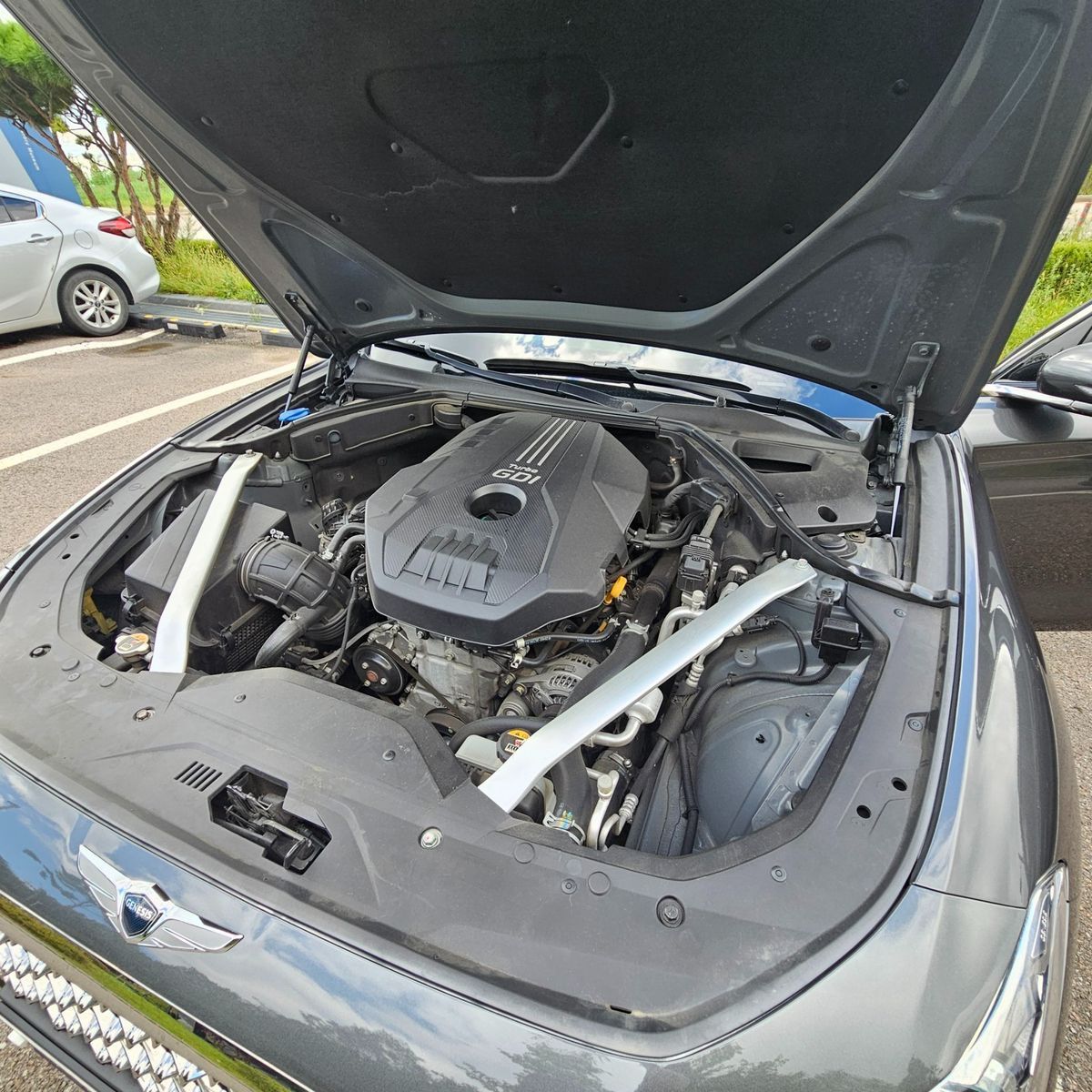 Image 5