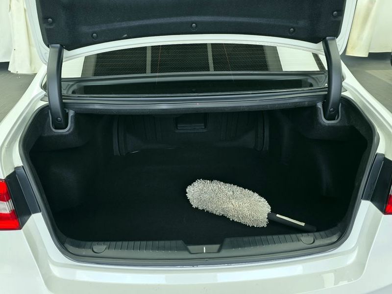 Image 19
