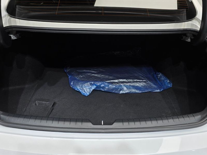 Image 19
