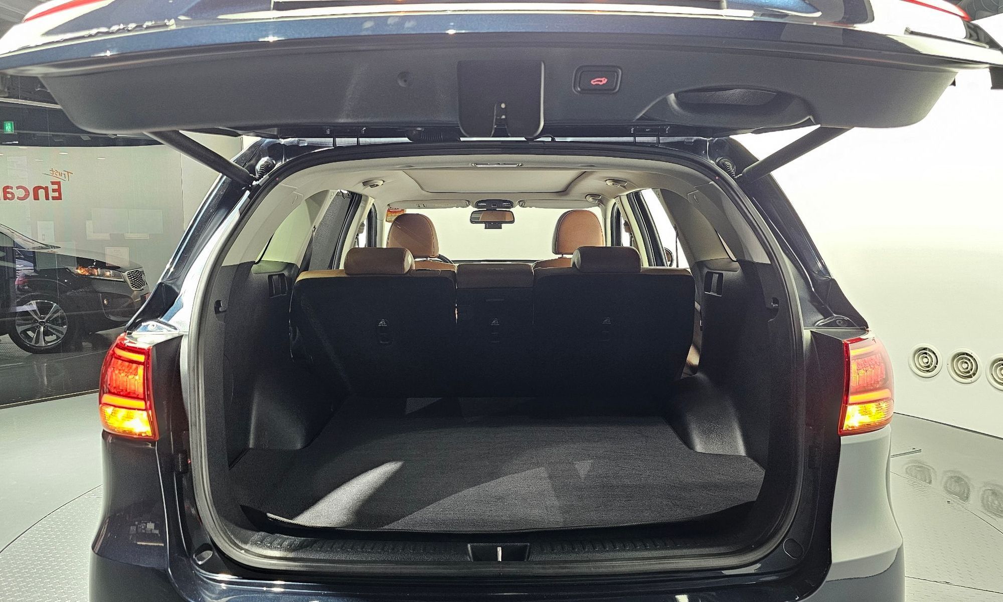Image 19