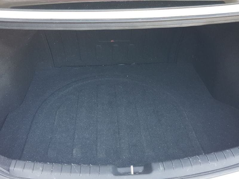 Image 19