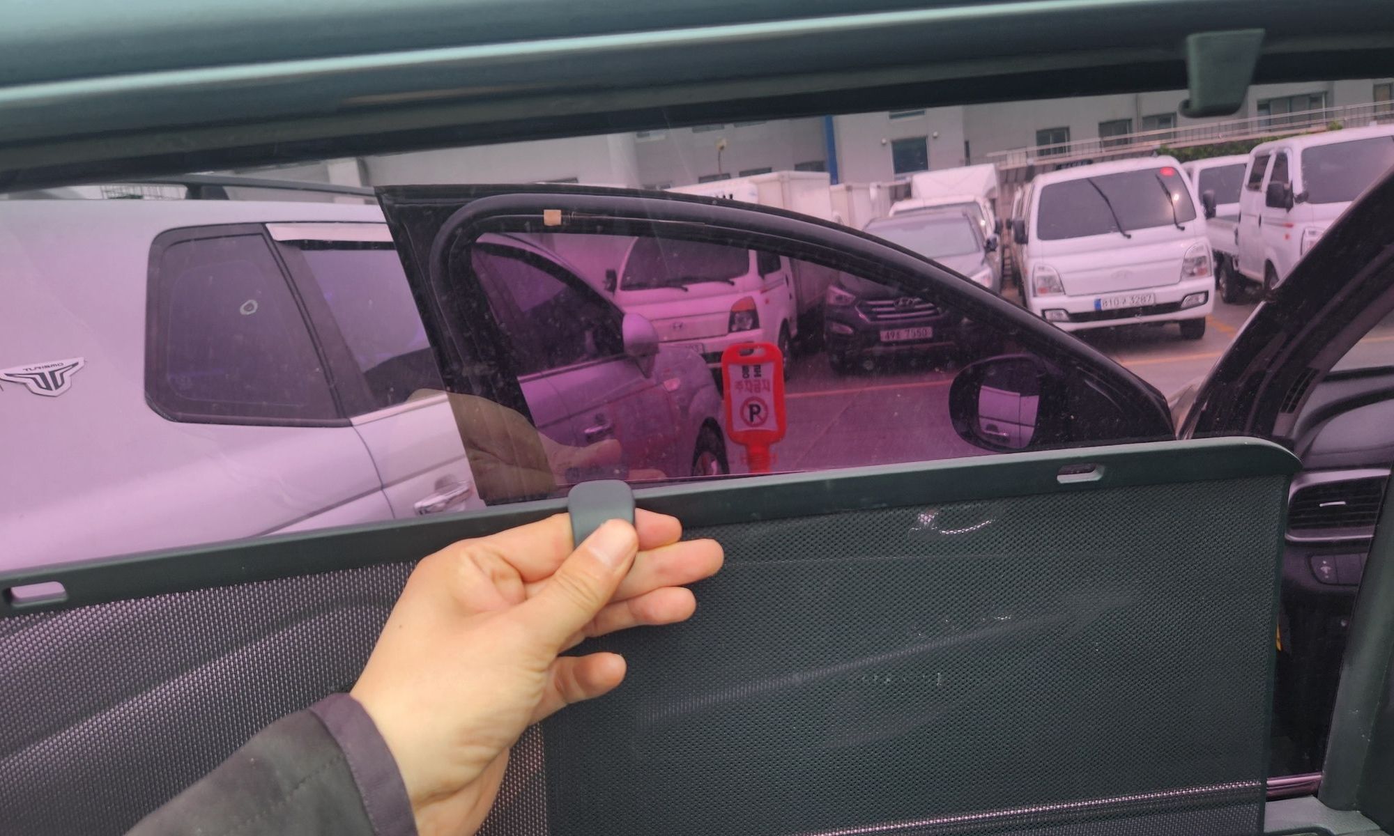 Image 19