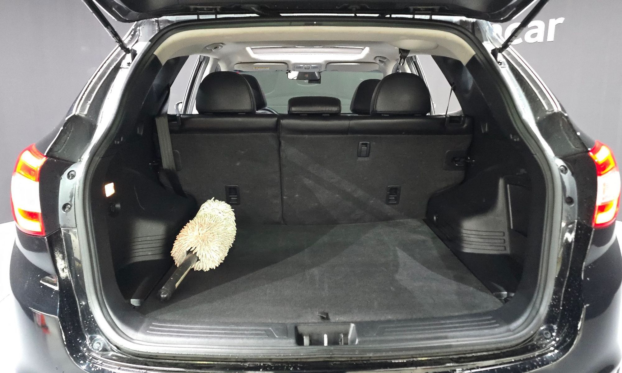 Image 19