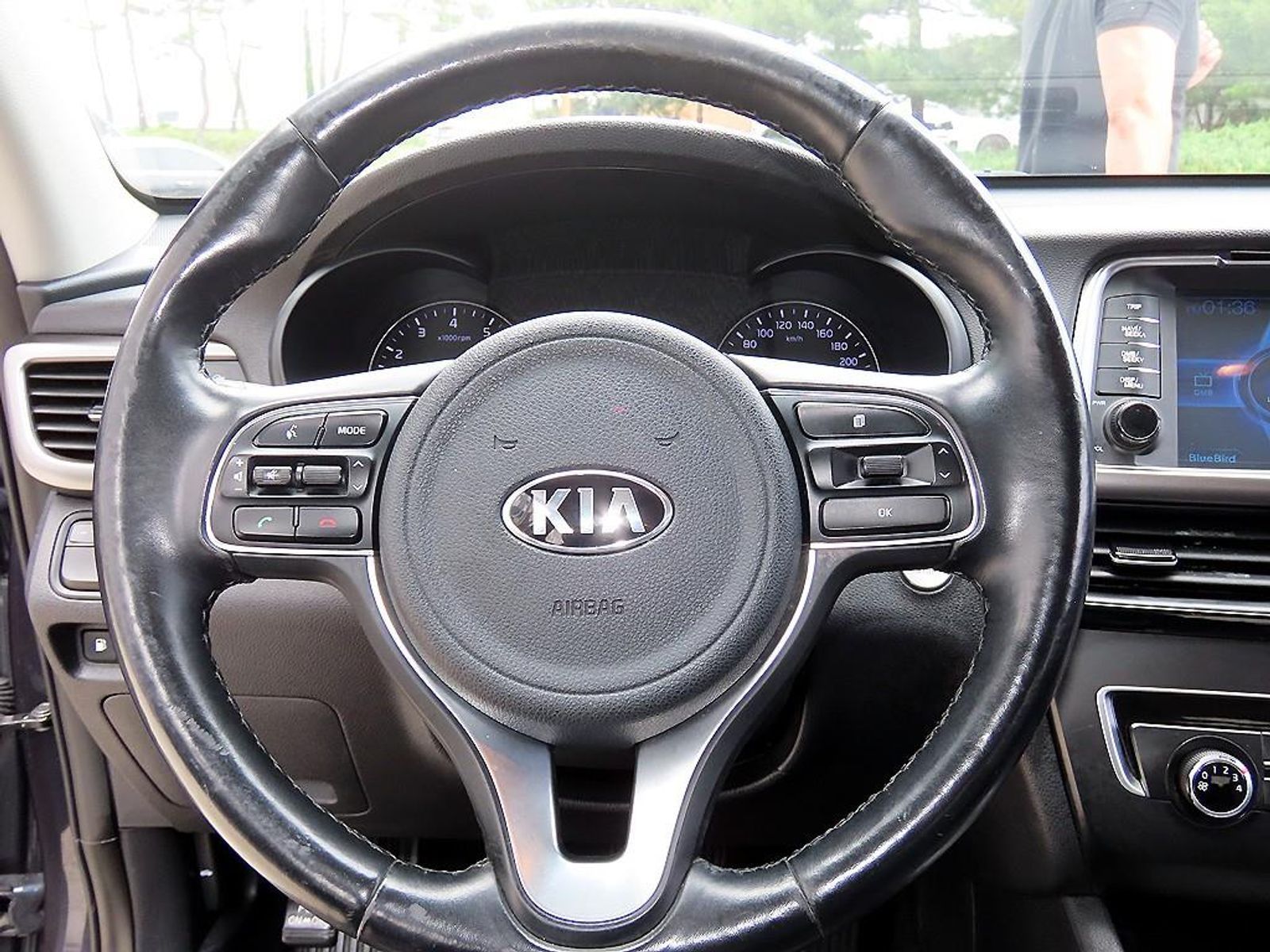 Image 7