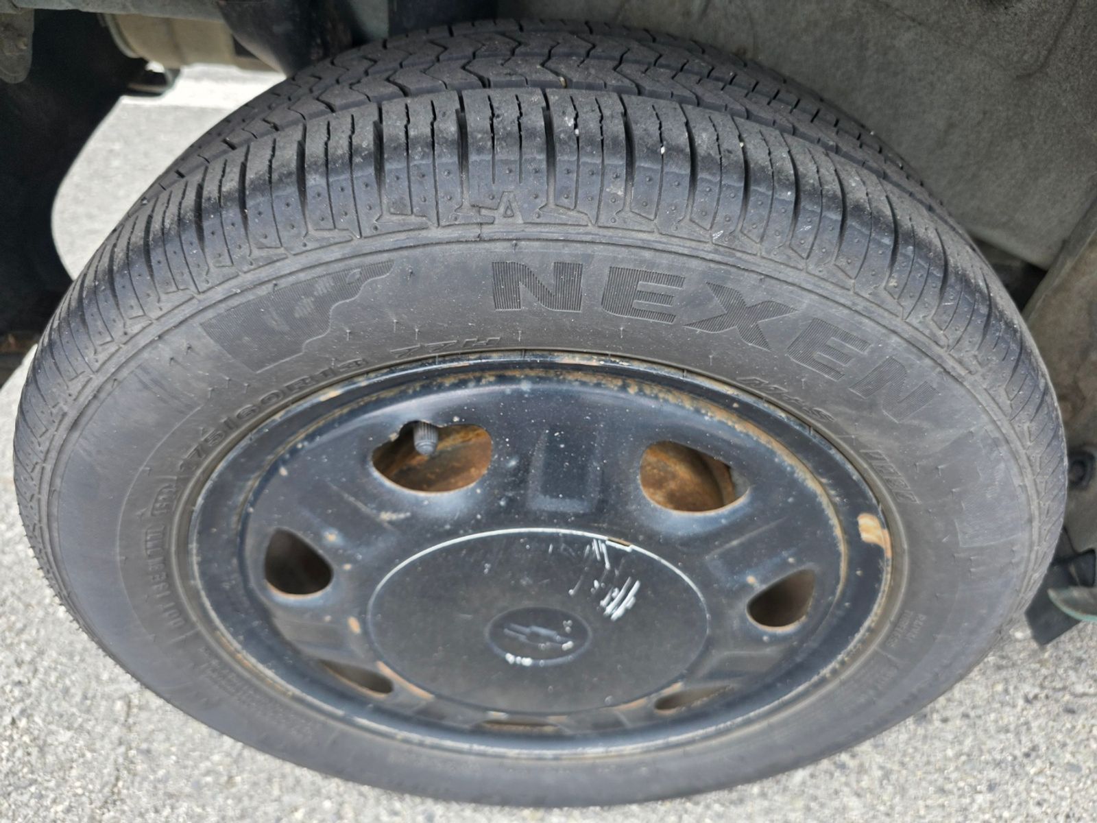 Image 8