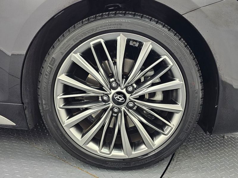 Image 20