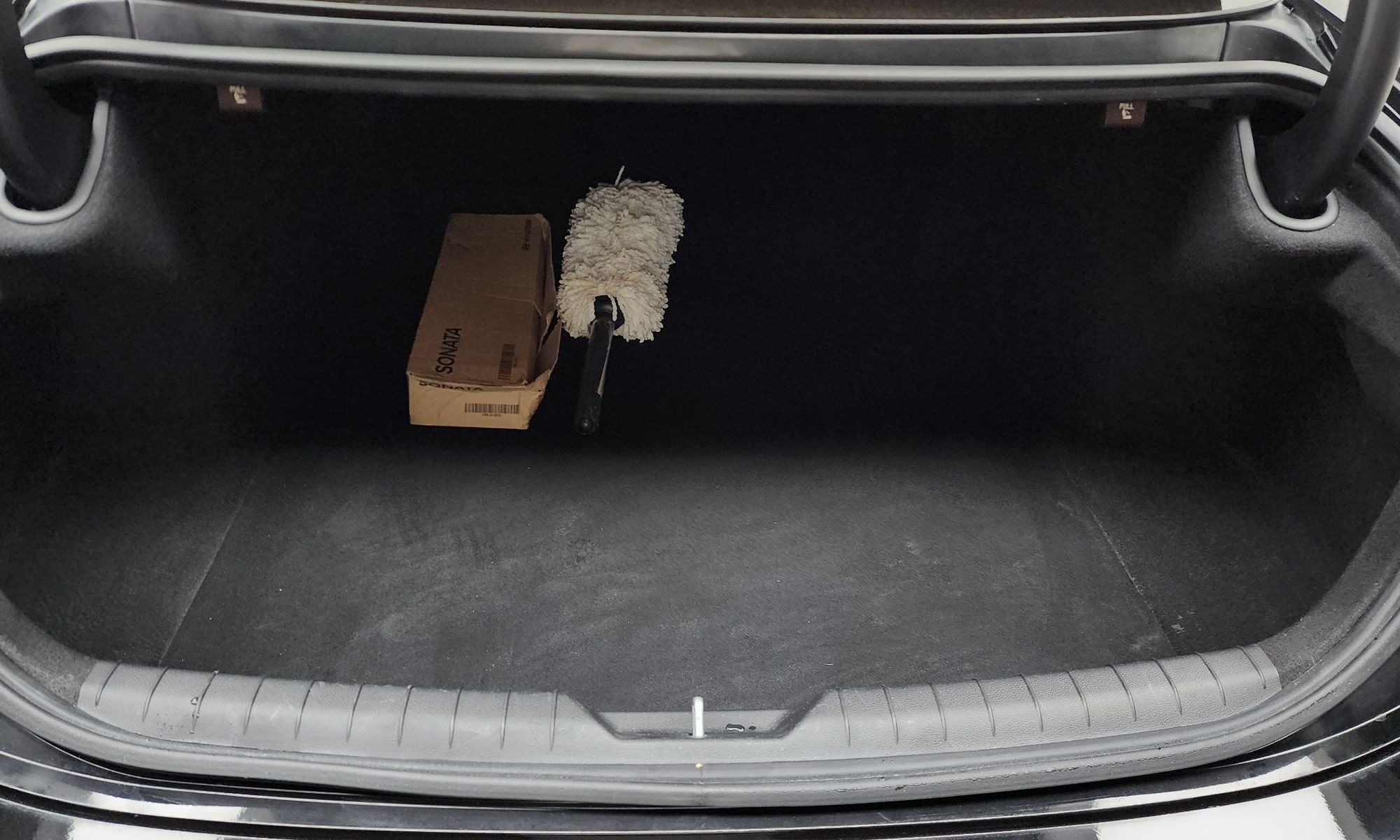 Image 19