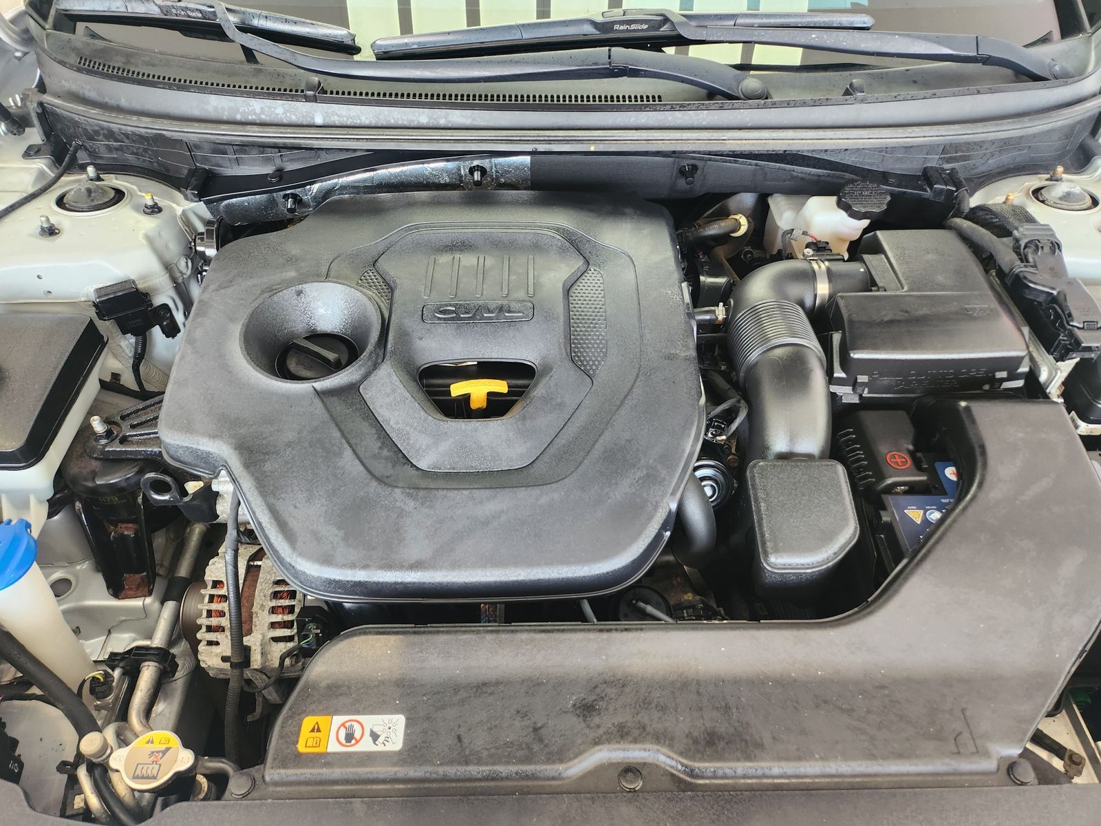 Image 5
