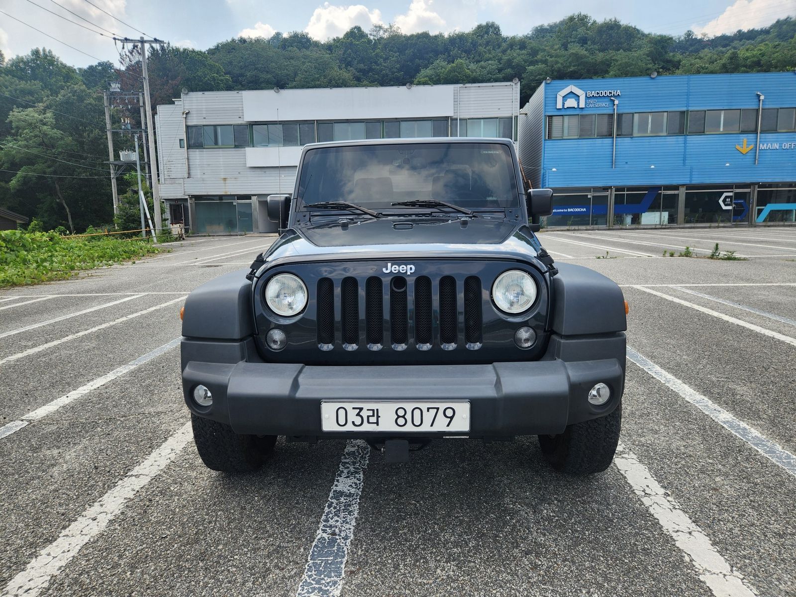 Image 4