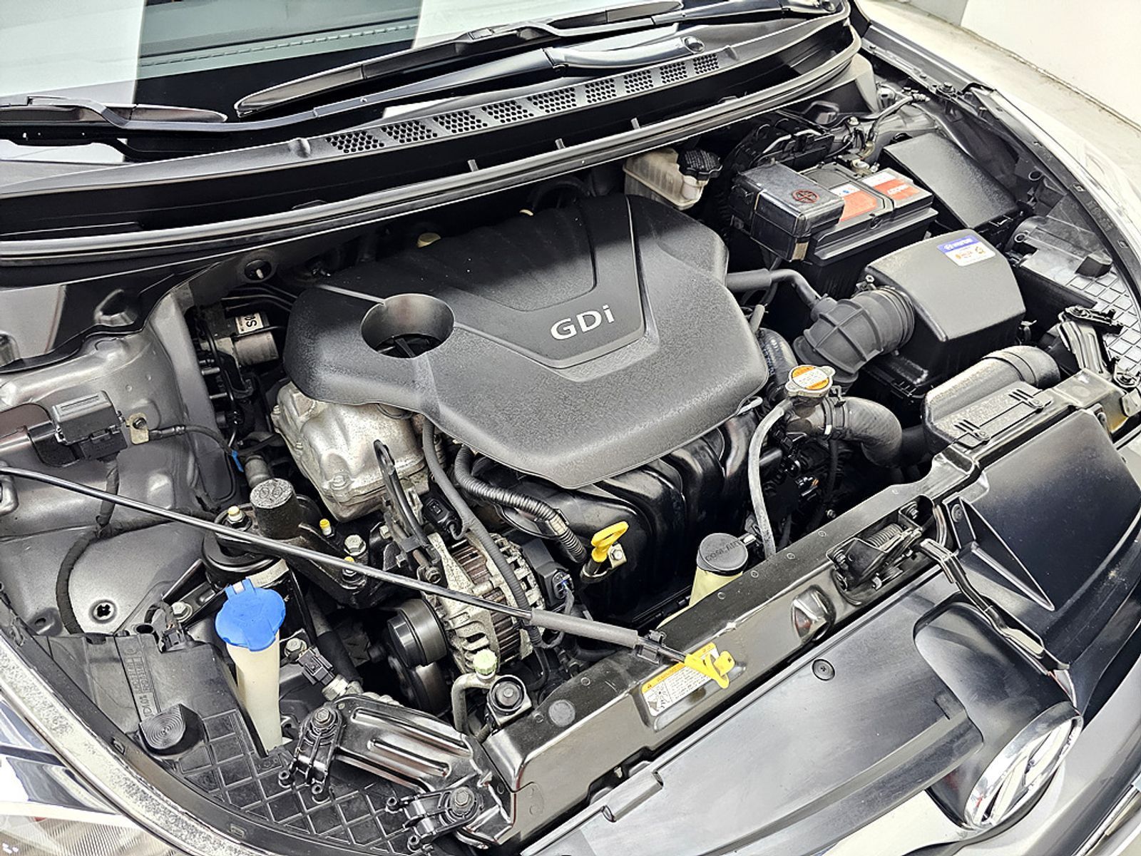 Image 5