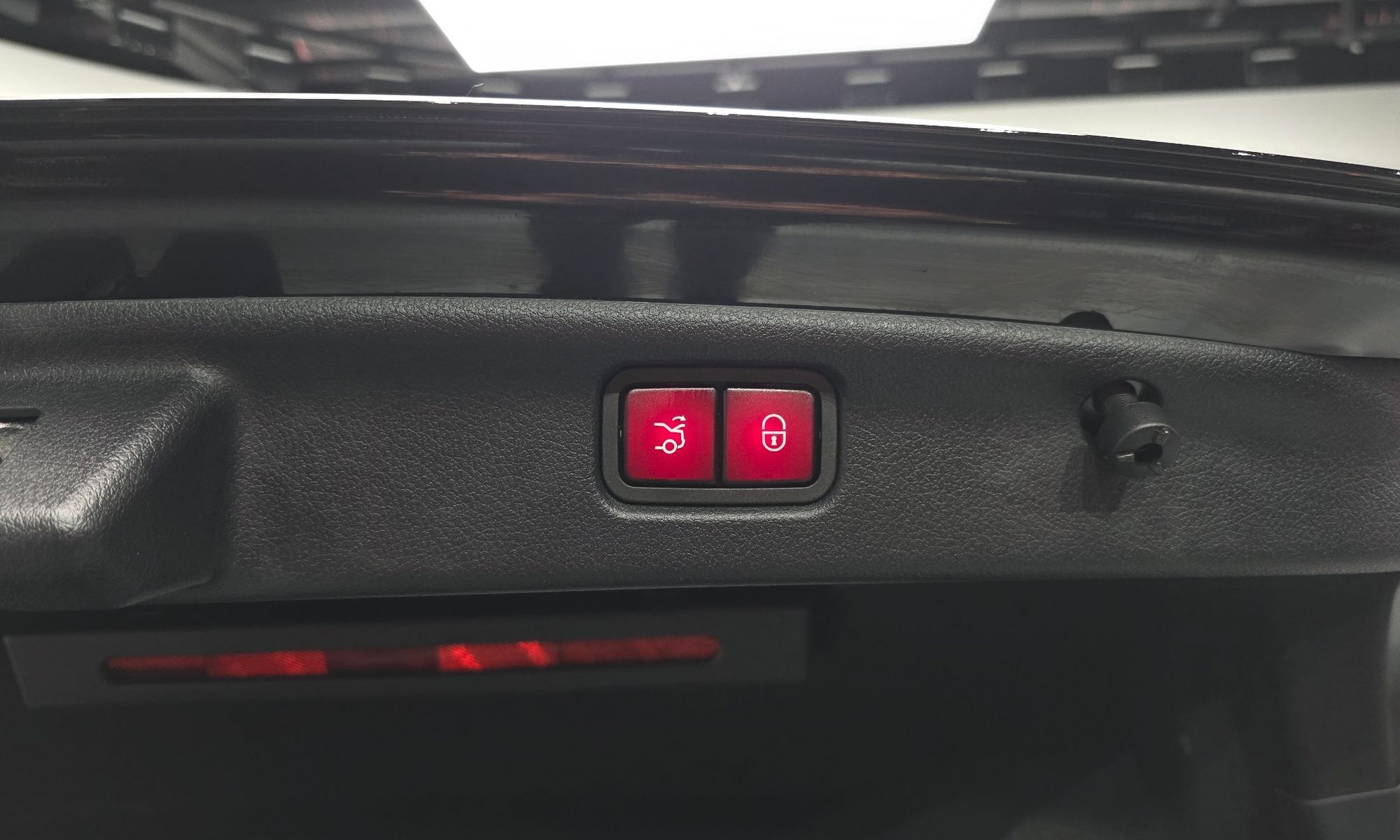 Image 19