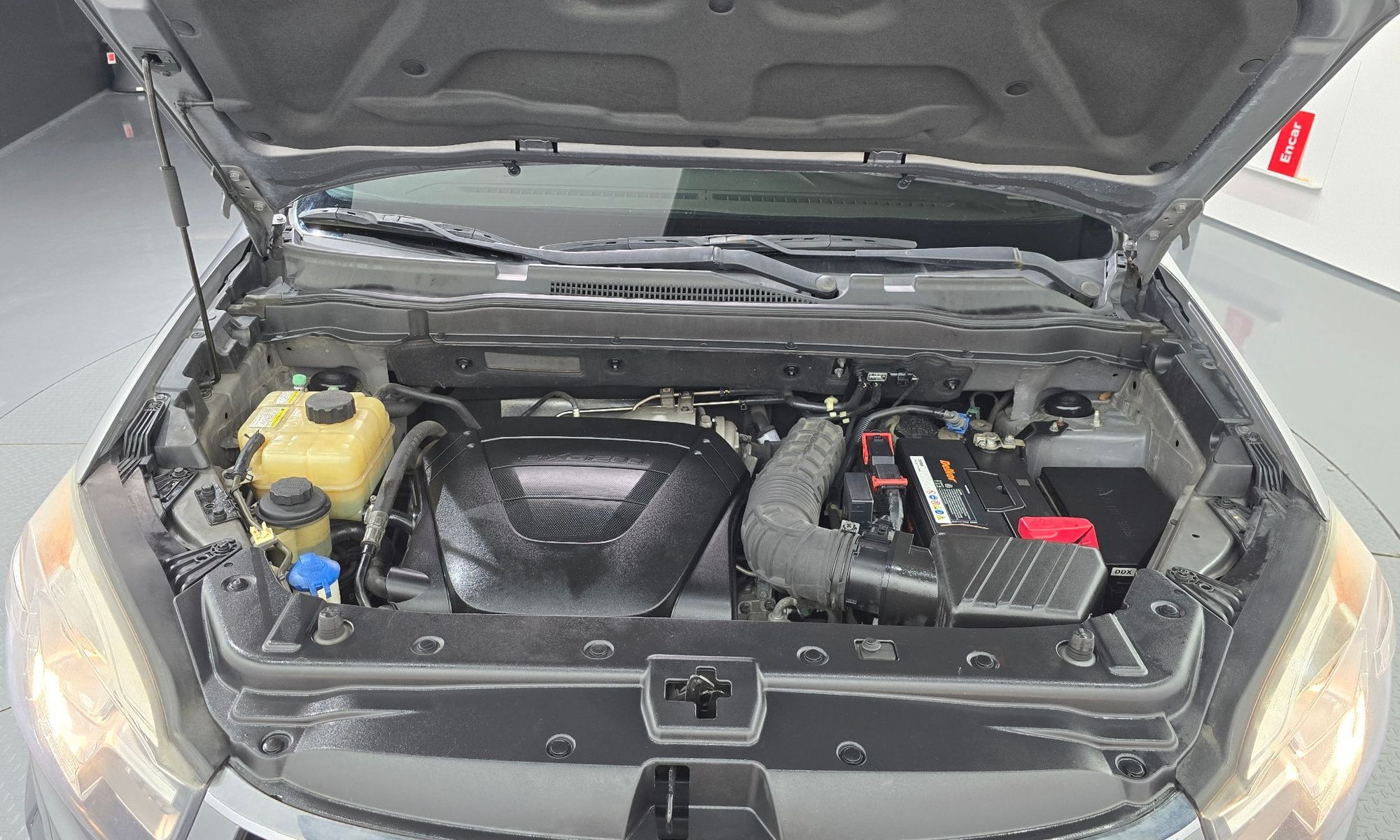 Image 5
