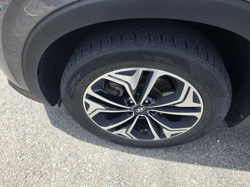 Image 8