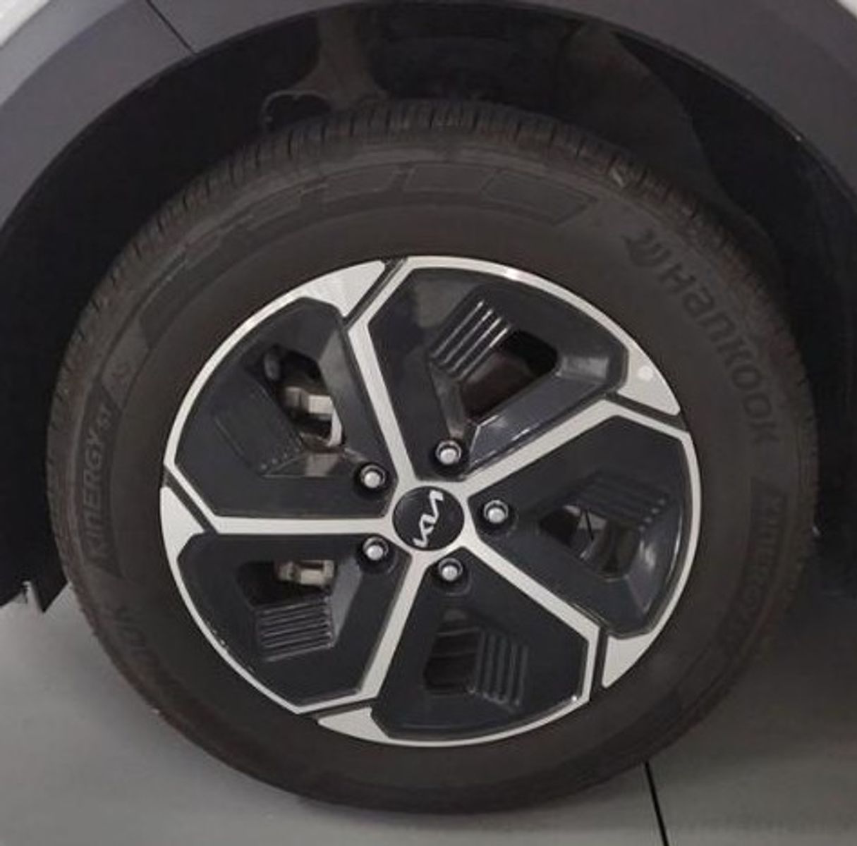 Image 8