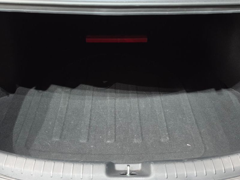 Image 19