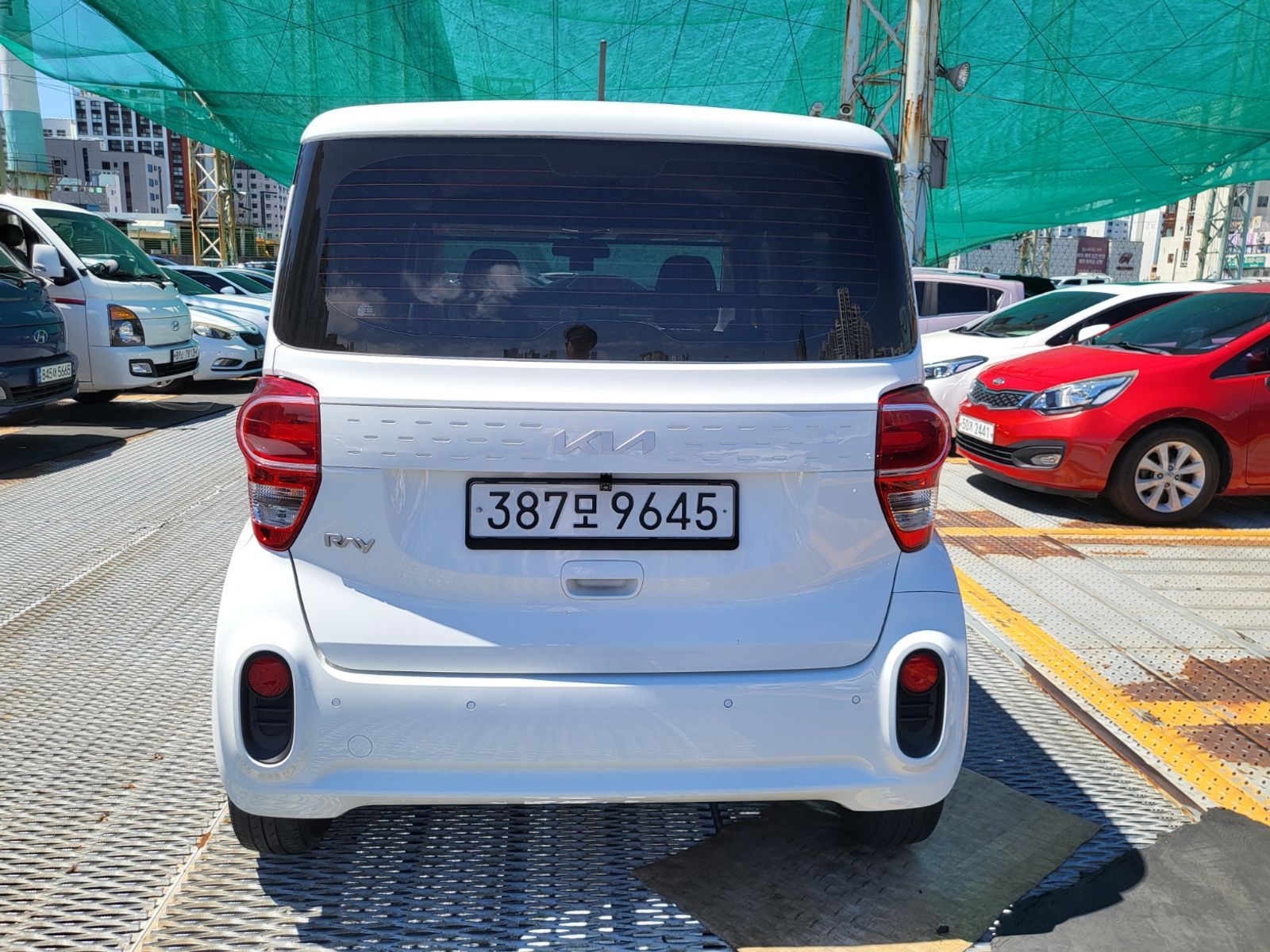 Image 5