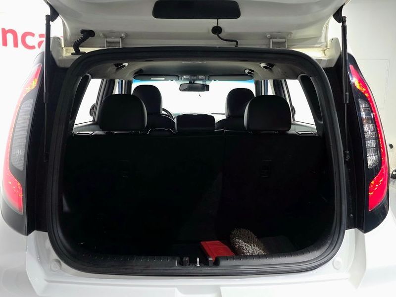 Image 19