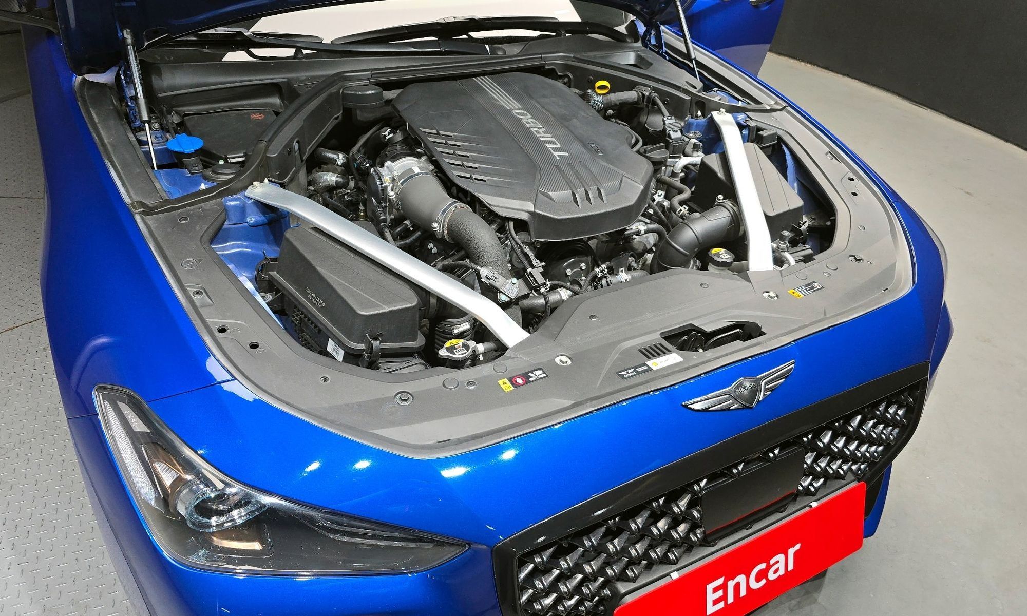 Image 5