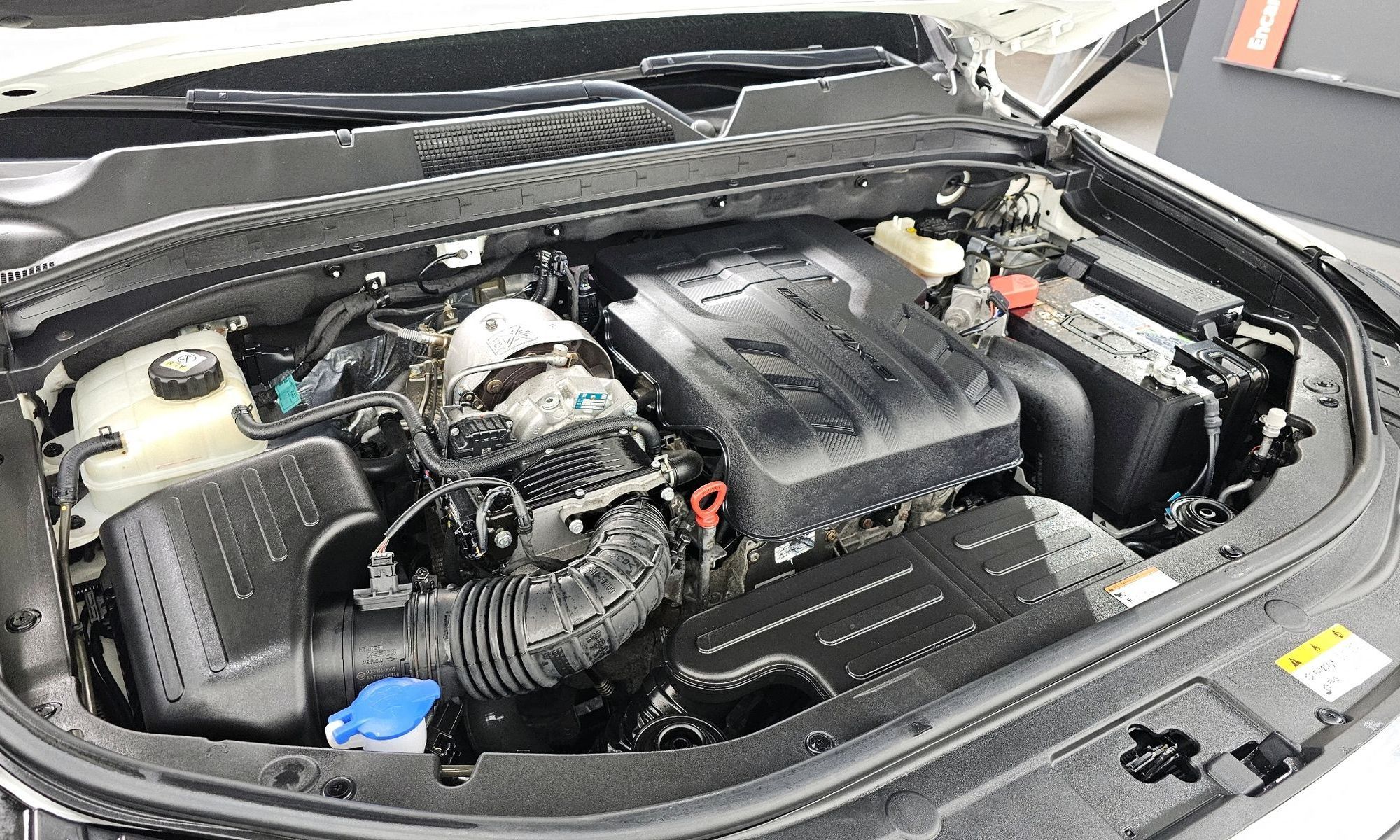 Image 5