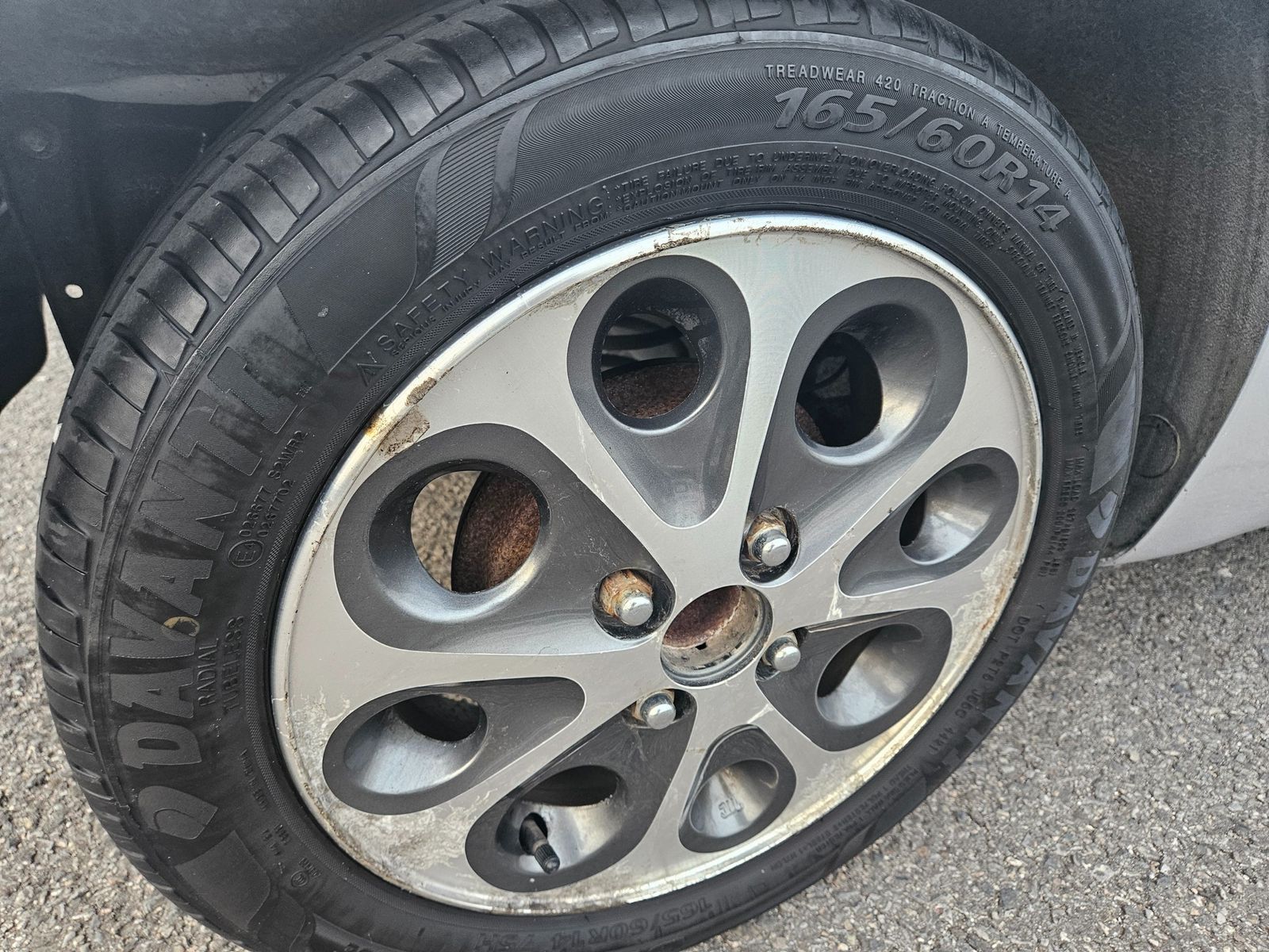 Image 8