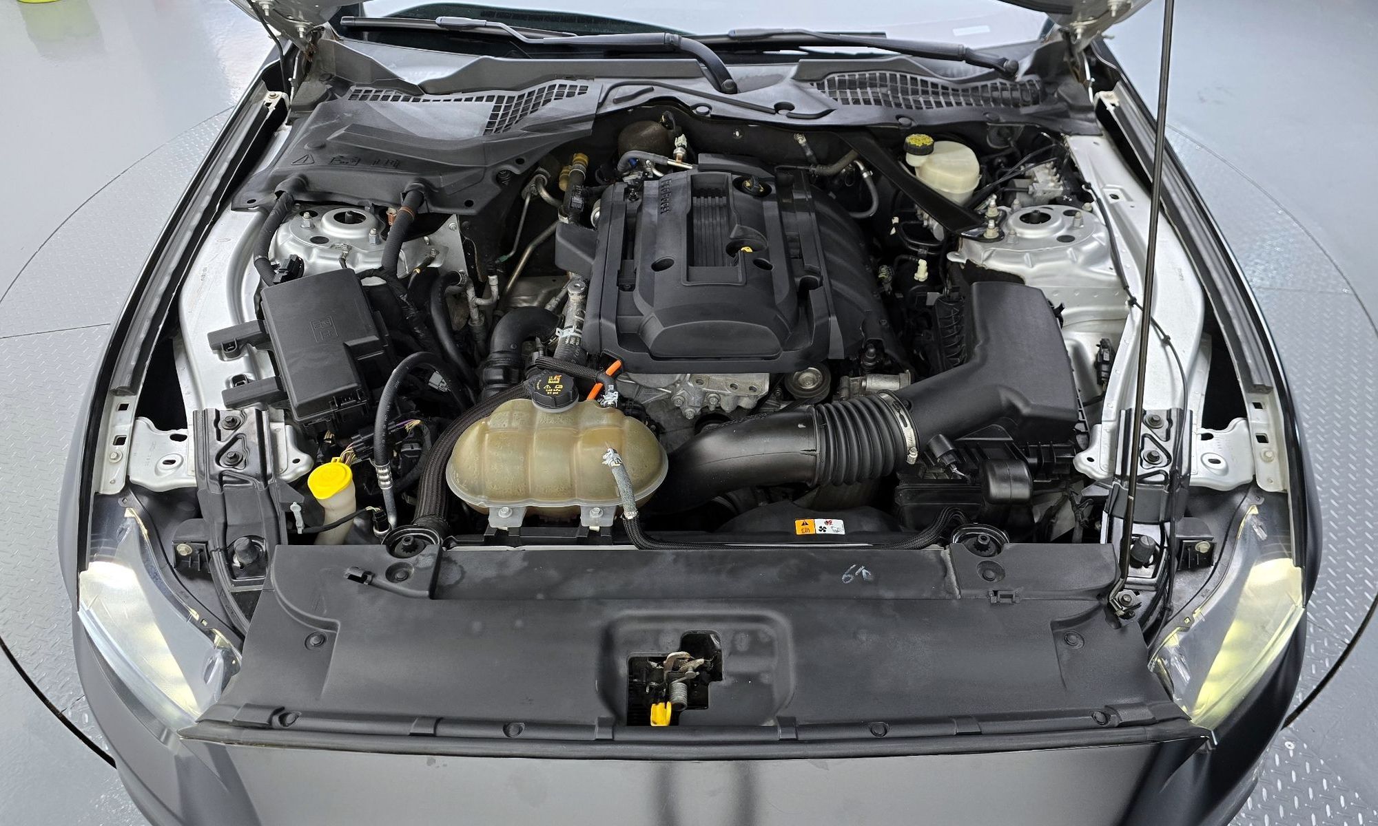 Image 5