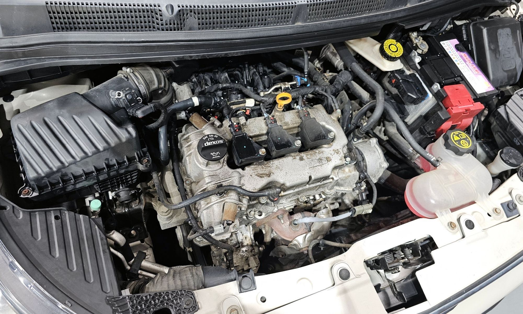Image 5