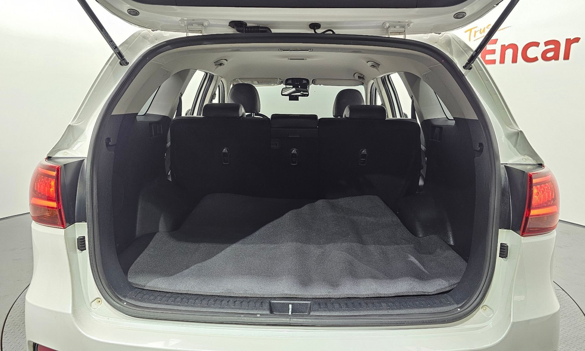 Image 19