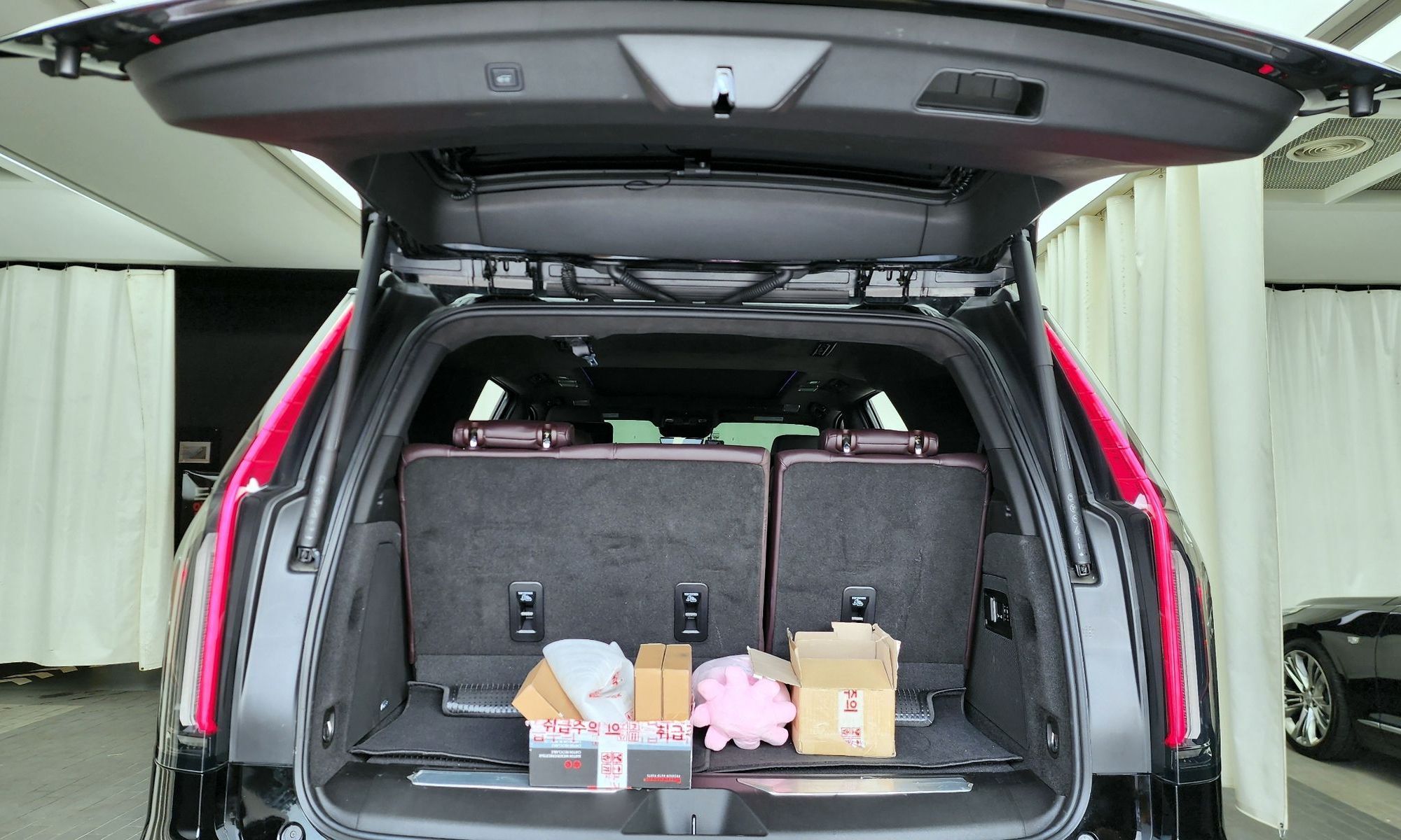 Image 19