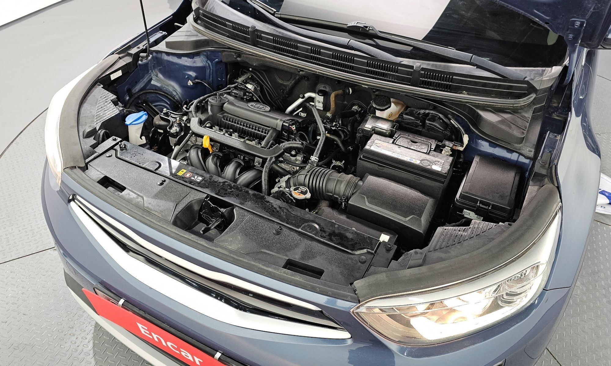 Image 5