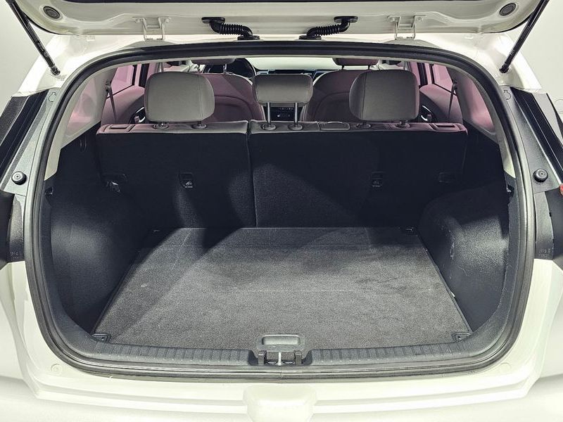 Image 19