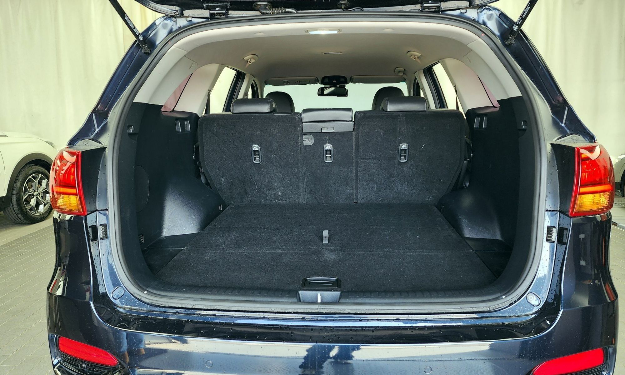 Image 19