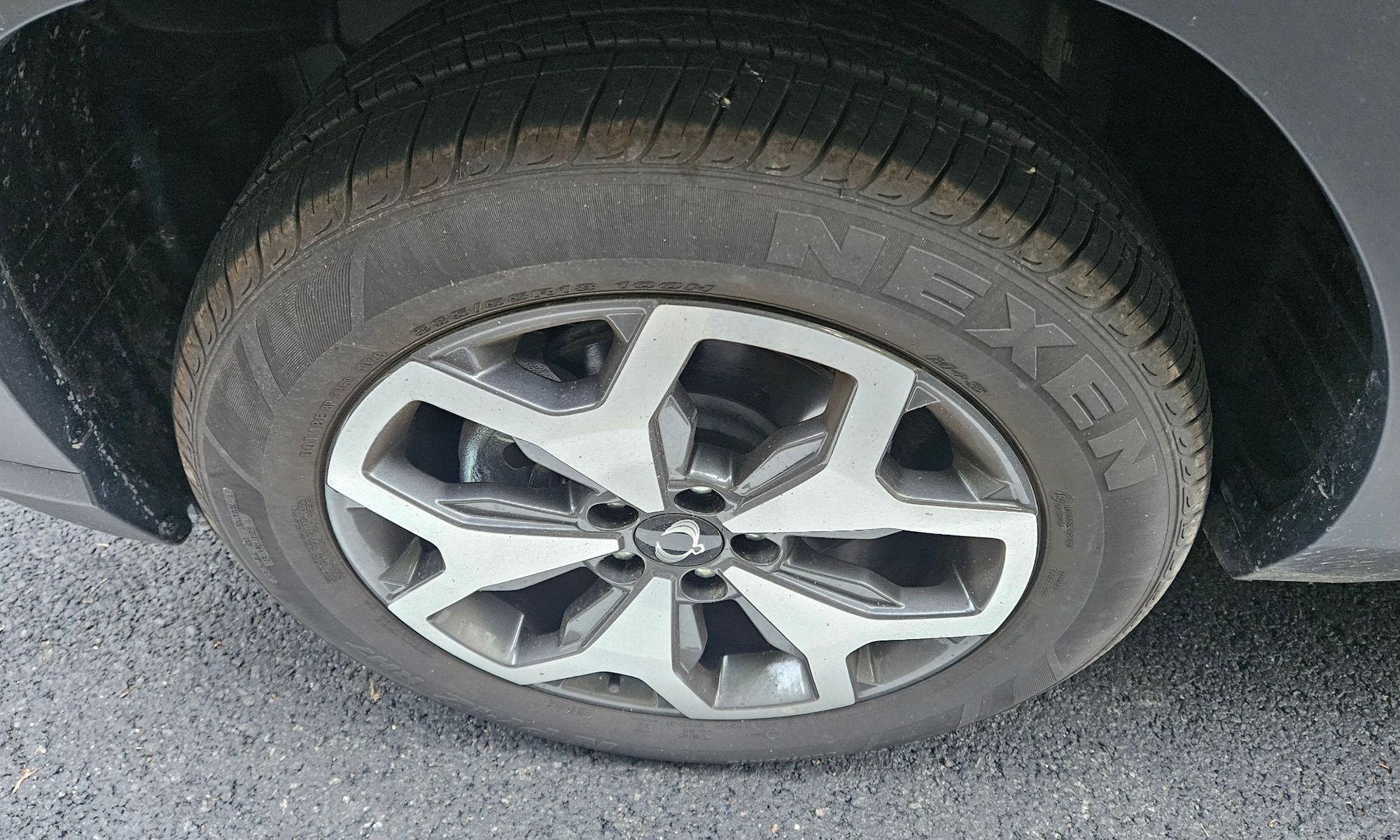 Image 19
