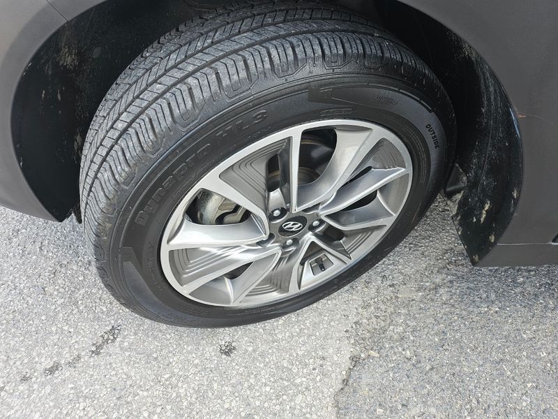 Image 7
