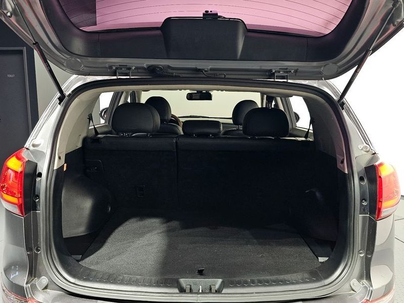 Image 19