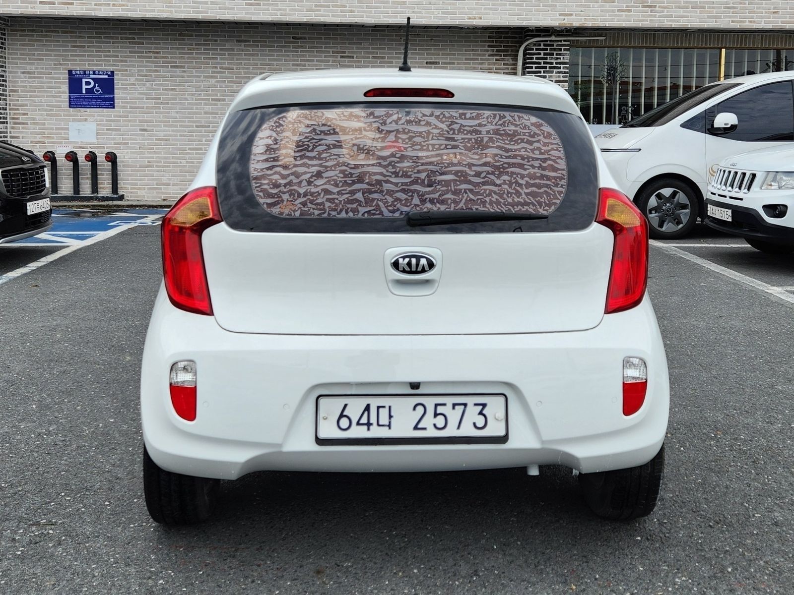 Image 7